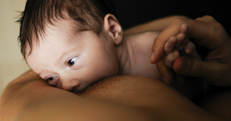 secar o leite materno