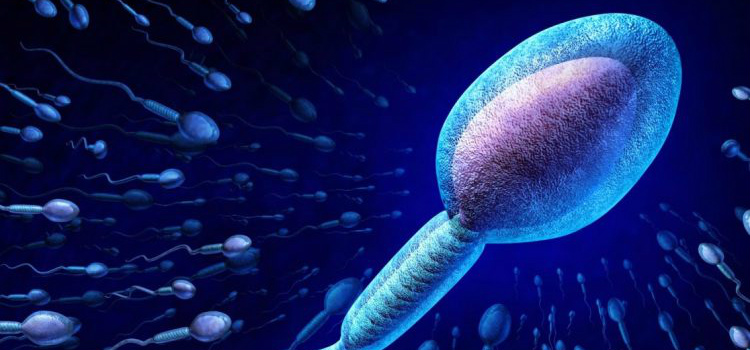 semen pode curar a depressao em mulheres espermatozoide