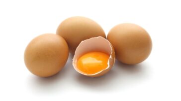clara de ovo