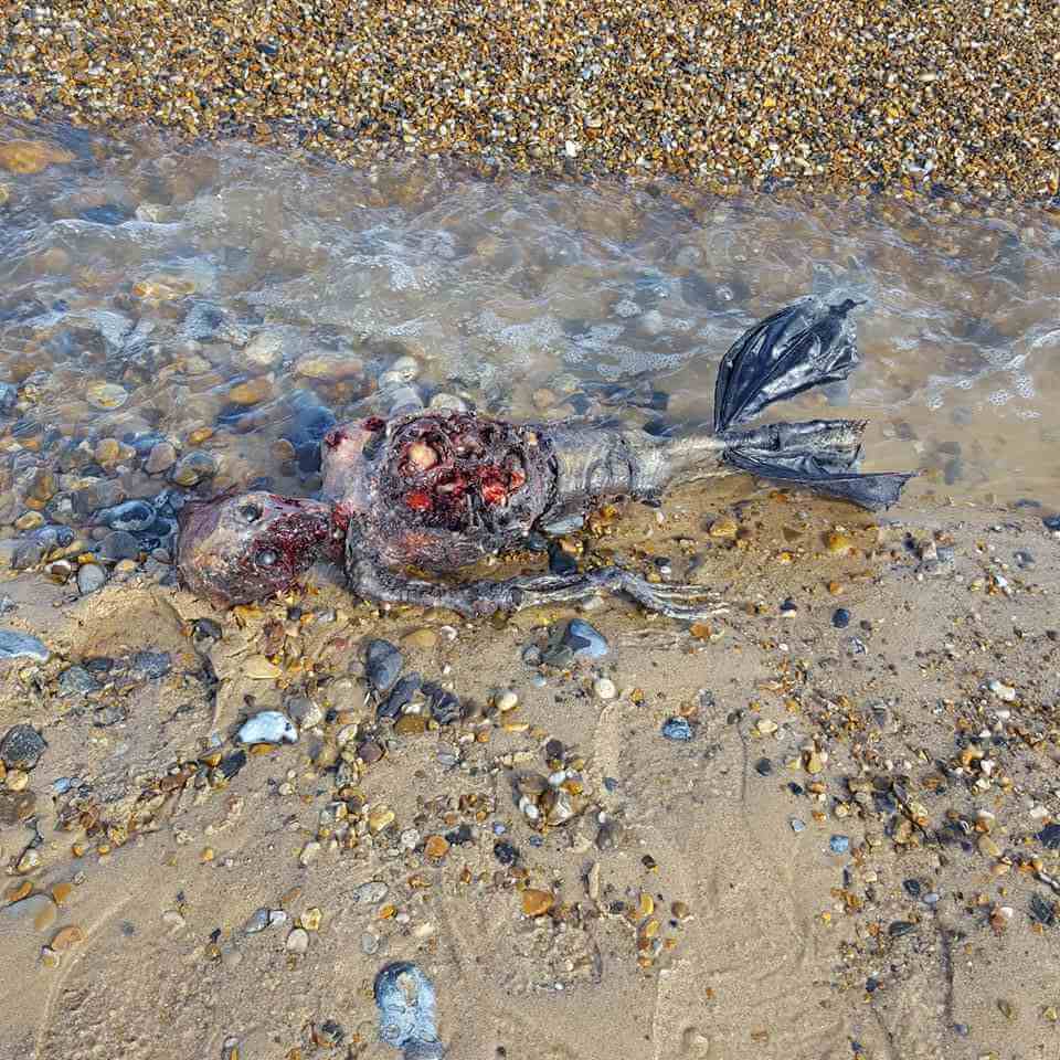 sereia-de-verdade-encontrada-3