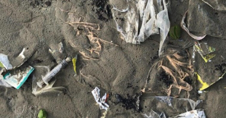 seringas praia paquistão