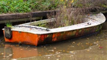 sonhar com água suja