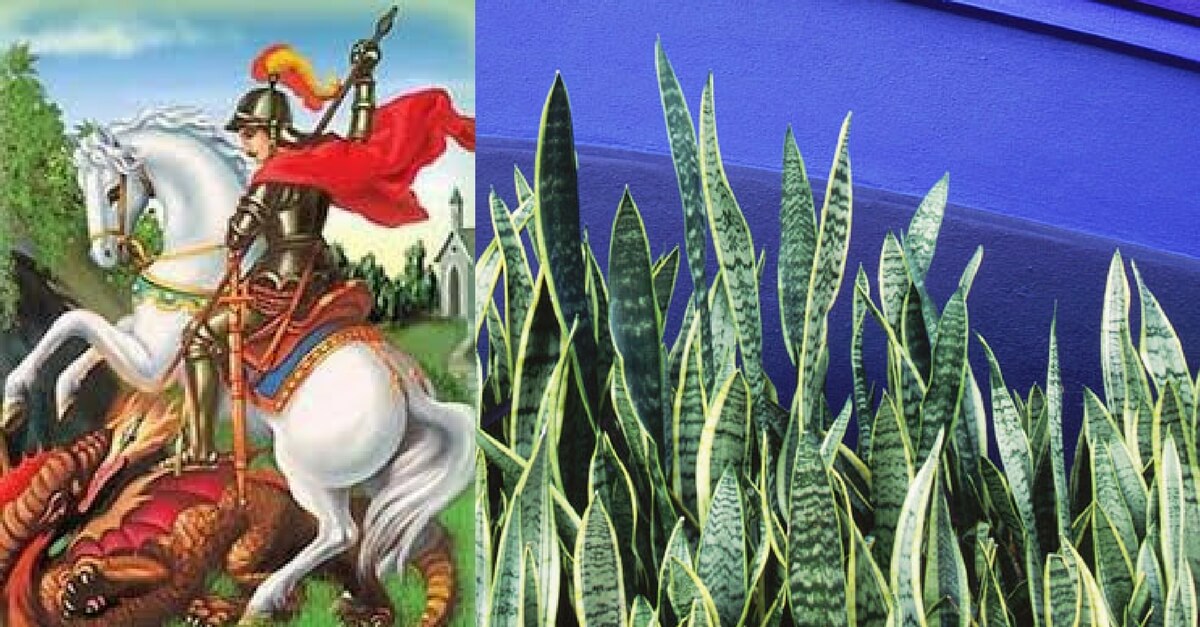 São Jorge - simpatias para todos os males