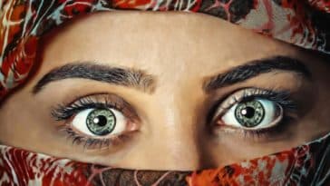 óleo para sobrancelhas