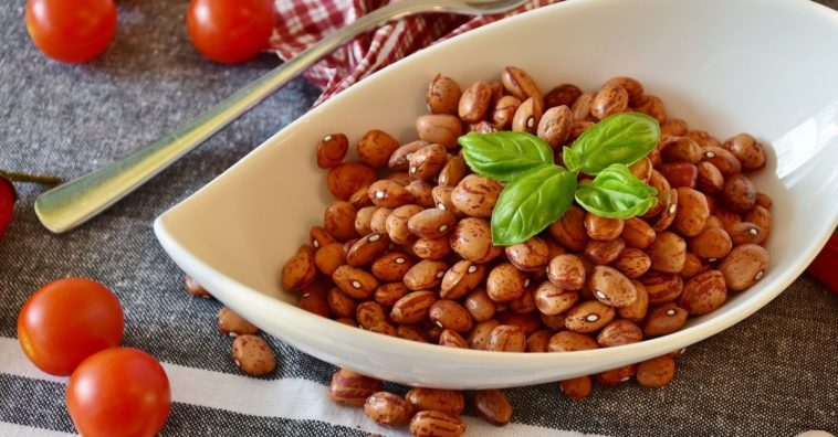 alimentos transgênicos