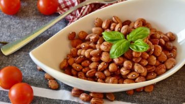 alimentos transgênicos