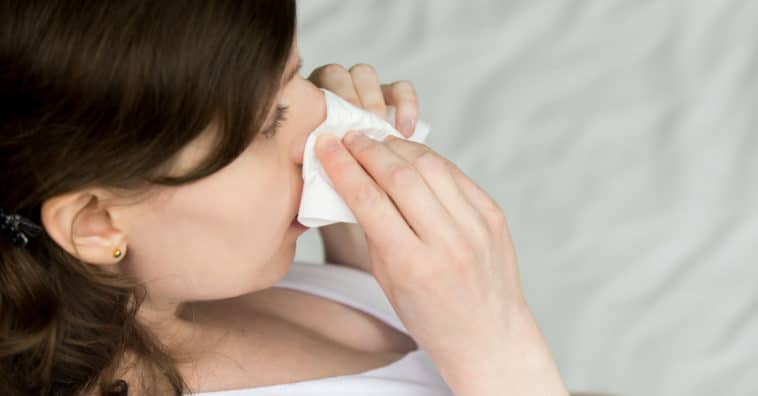 remédios caseiros para alergia