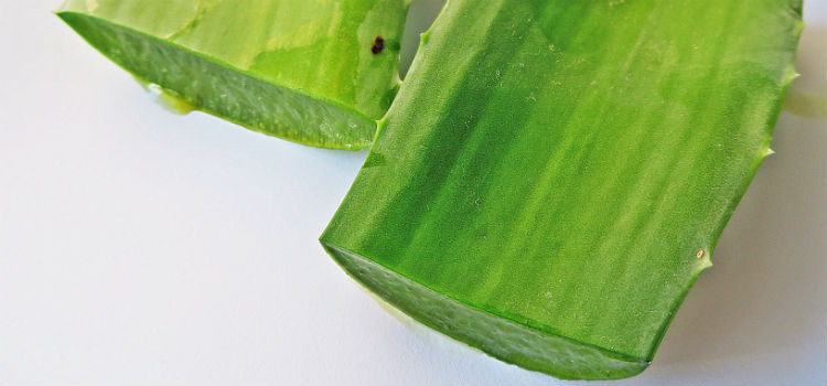 suco de babosa benefícios