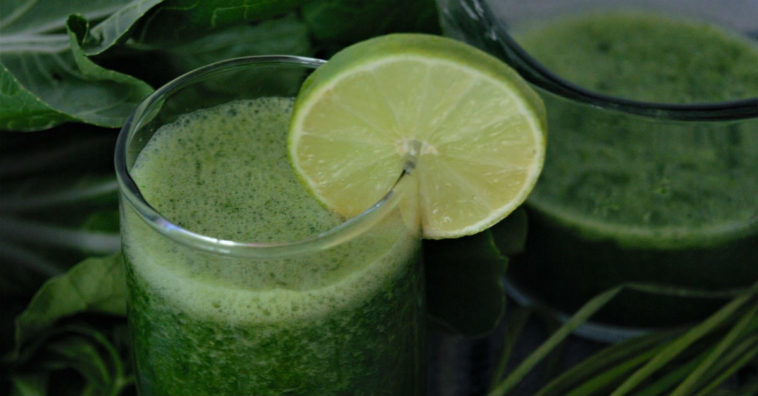 suco de clorofila