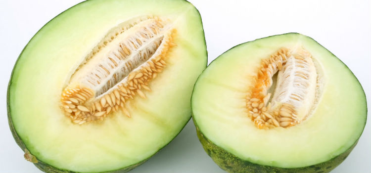 suco de melão emagrece