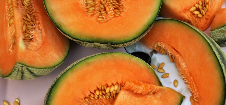 suco de melão receitas