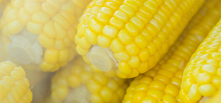 suco de milho benefícios