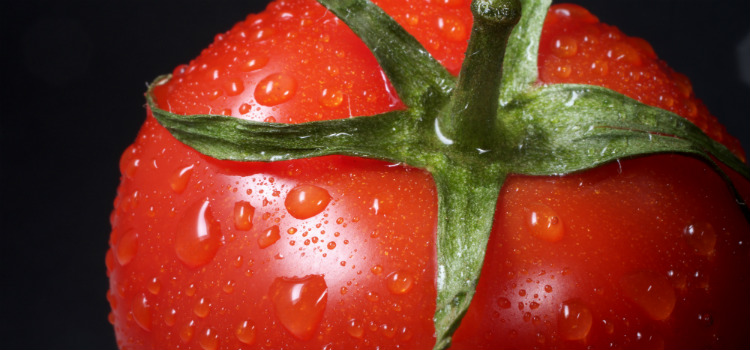 suco de tomate benefícios