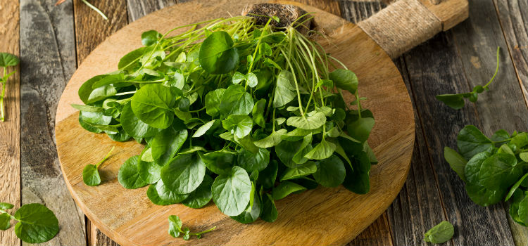 suco para parar de roncar