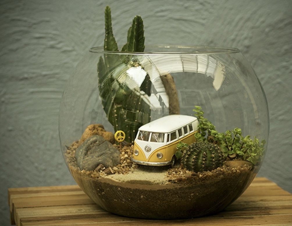 terrário de suculenta com carrinho