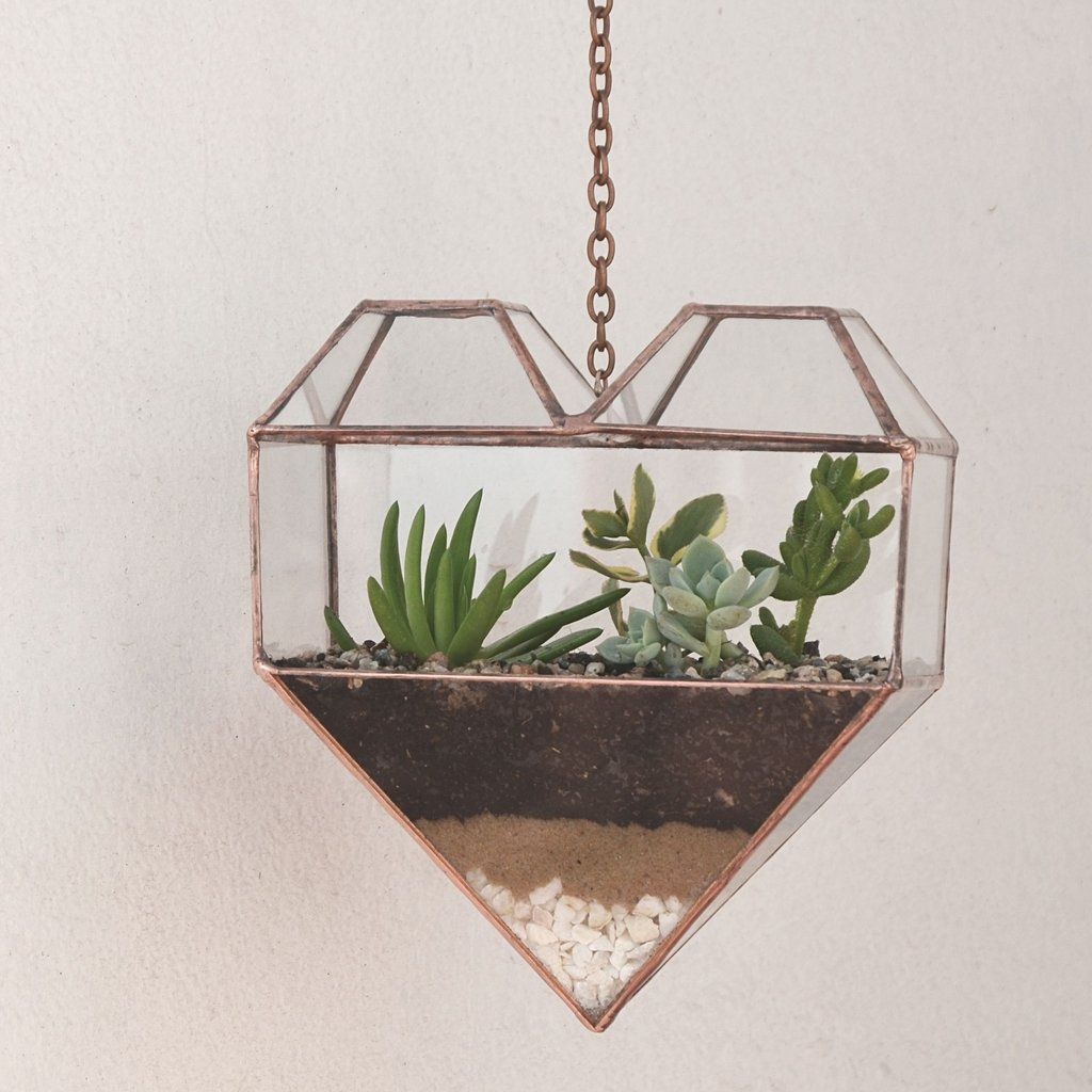 terrário de suculenta no coração