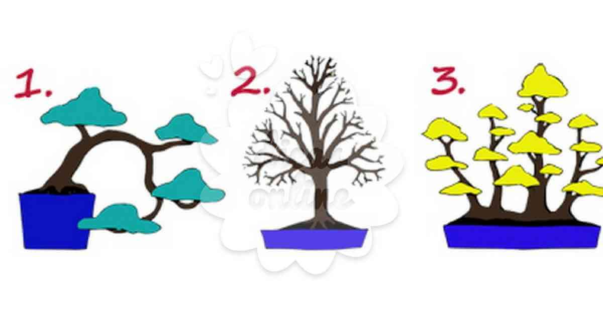 teste-personalidade-arvore (3)