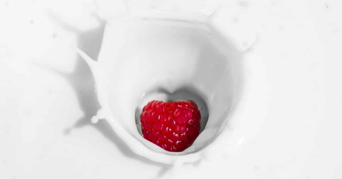 Dieta do tipo sanguíneo B