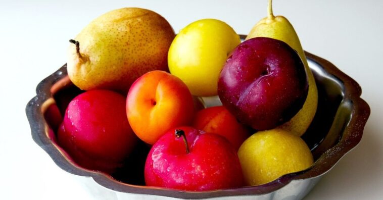 árvores frutíferas em vasos