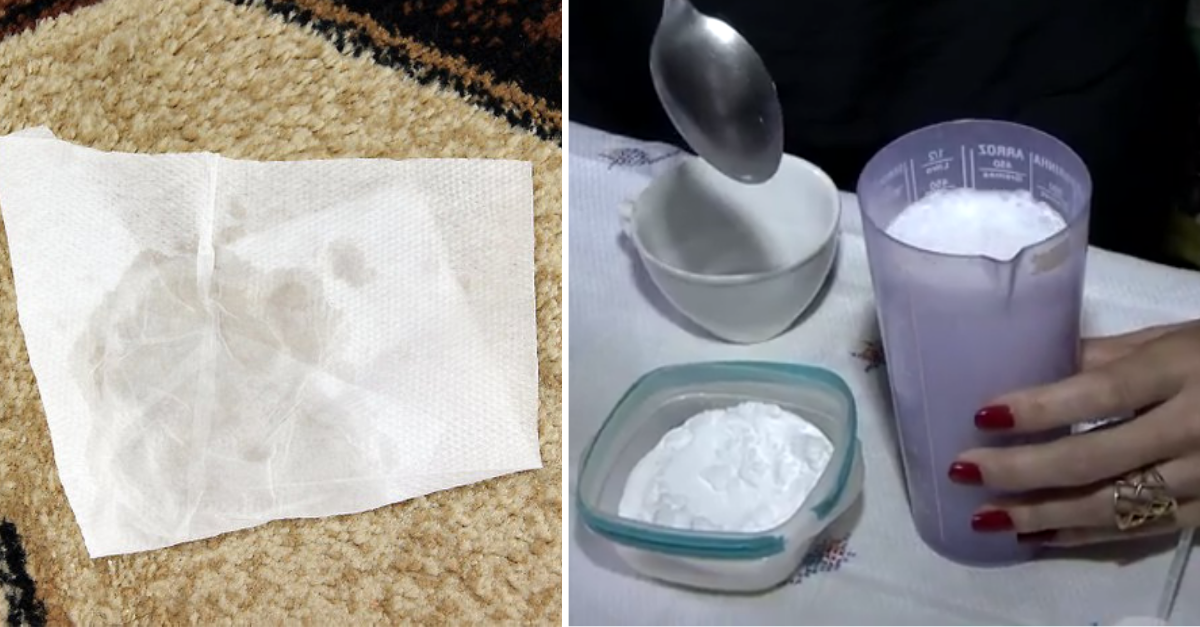 O Que Tira Cheiro De Xixi De Cachorro Como acabar com cheiro urina de cachorro - SixSigmadss