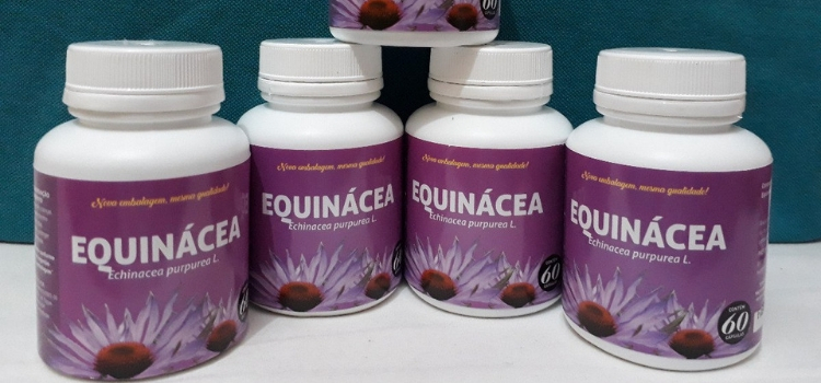 como tomar equinácea