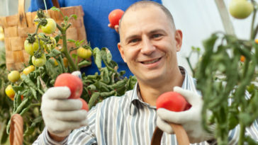 tratamentos alternativos para câncer de próstata