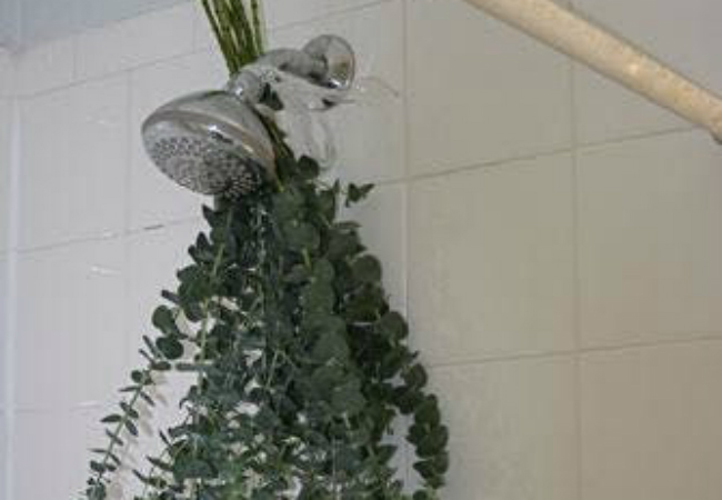 truques brilhantes para o seu banho ficar ainda melhor banho terapêutico