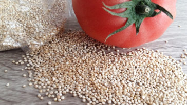 tudo sobre quinoa