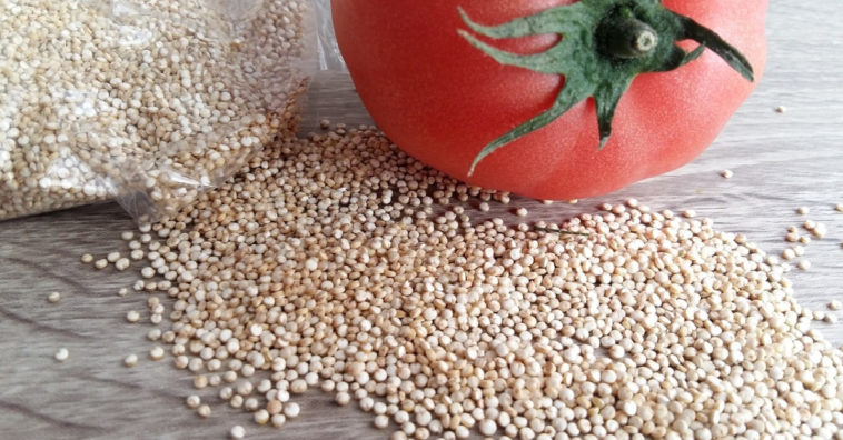 tudo sobre quinoa