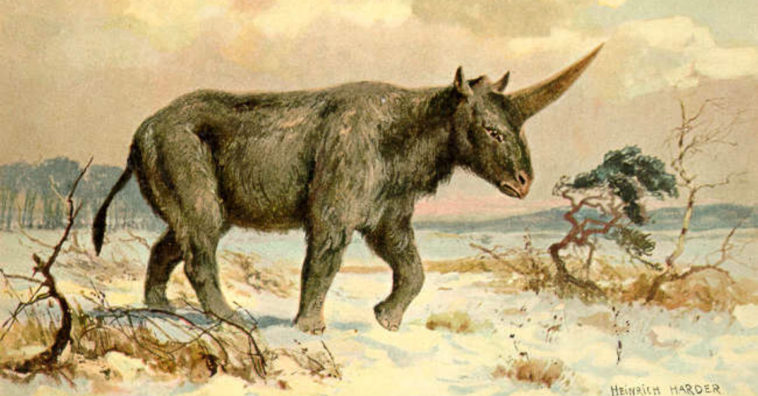 unicórnios existiram na terra