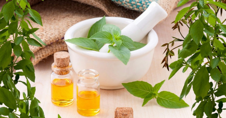 usar óleo de eucalipto