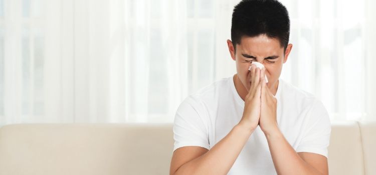 utilidade remédios com louro