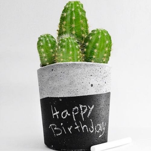 modelo vaso com tinta lousa