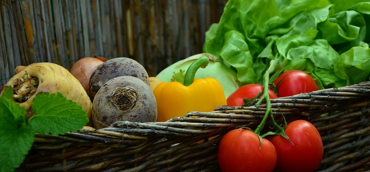 verduras e legumes low carb