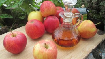 Vinagre e perda de peso