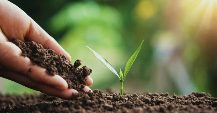 virar adubo de jardim como