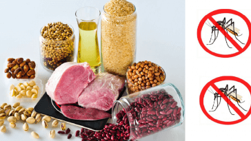 vitamina B1 contra mosquitos