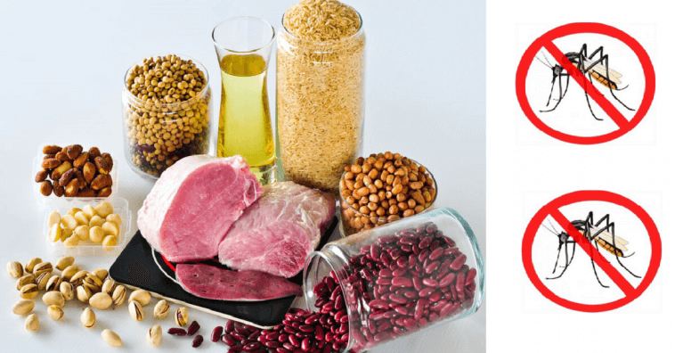 vitamina B1 contra mosquitos