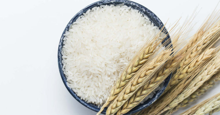 água de arroz no cabelo