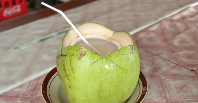 água de coco benefícios para a saúde
