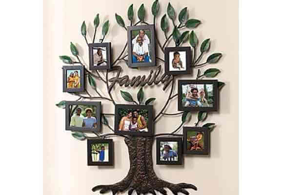 árvore genealógica 8
